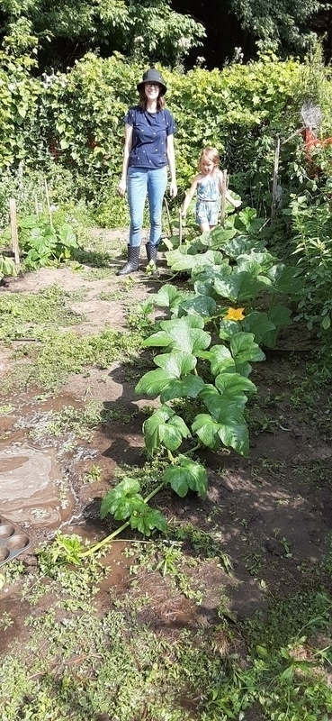 a large pumpkin plant: wife and child for scale