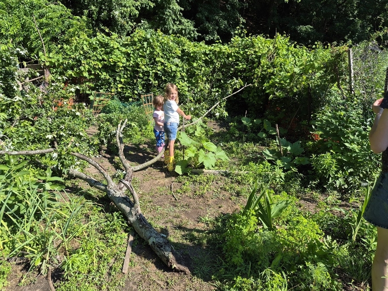 A fallen tree branch with the kids for scale.