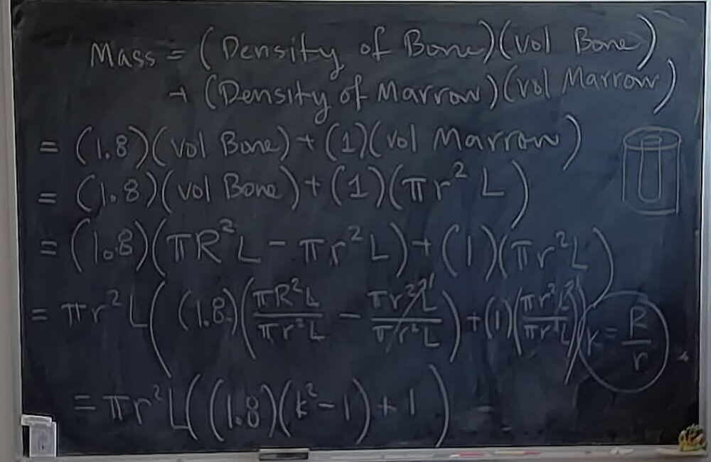 A photo of a whiteboard titled: Bone Marrow Formula