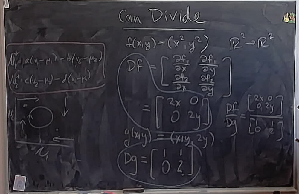 A photo of a whiteboard titled: Dividing Derivatives of Multivariate Functions: Can Divide